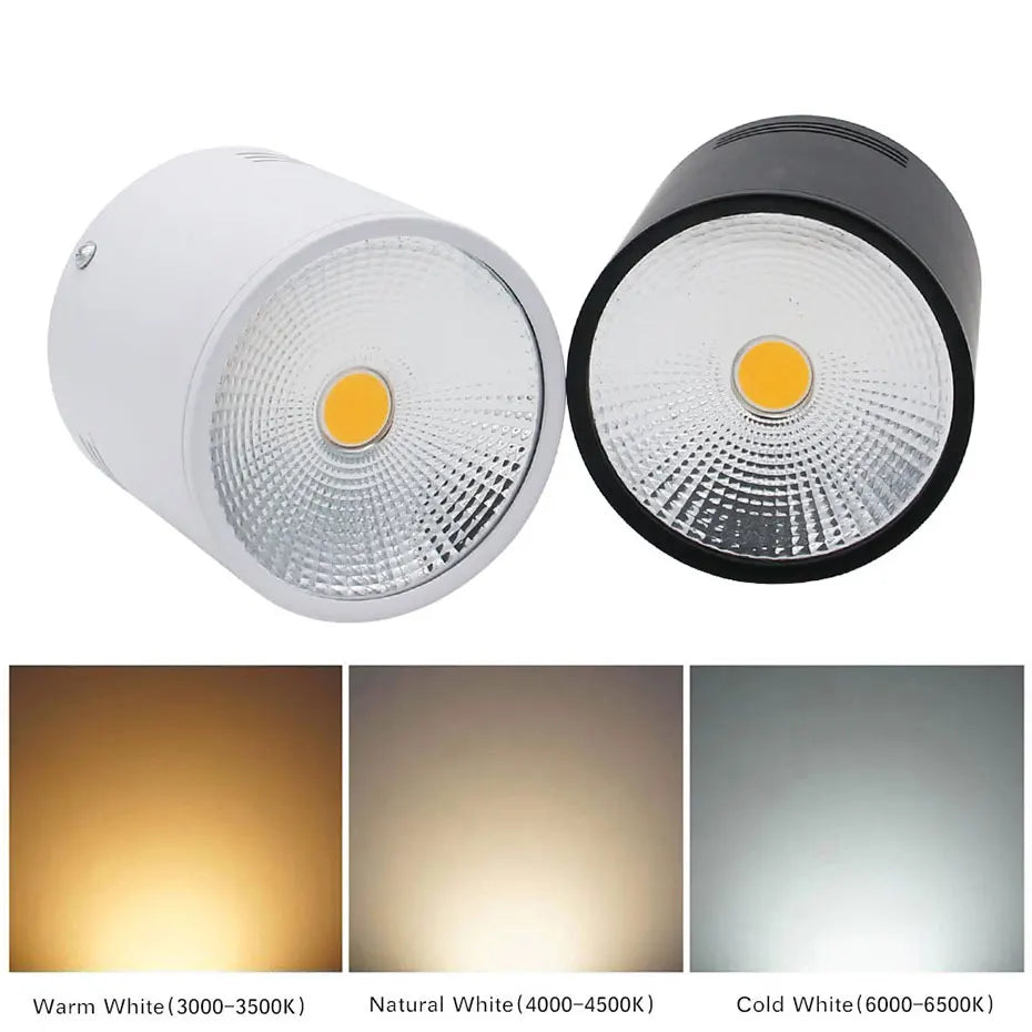spot LED dimmable non encastrable éclairage chaud froid ou neutre