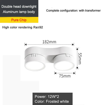 Spot plafonnier led double orientable 220°