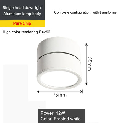 Spot plafonnier led double orientable 220°