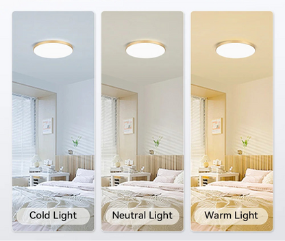 grand spot plafond rond plat pour salle de bain panneau lumineux froid-chaud-neutre