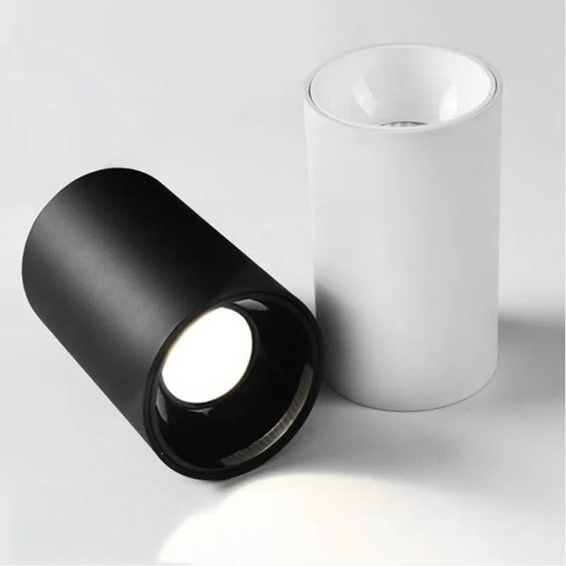 Spot led cylindrique blanc ou noir