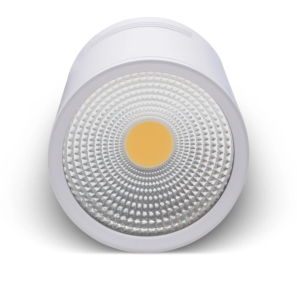 spot LED dimmable non encastrable blanc
